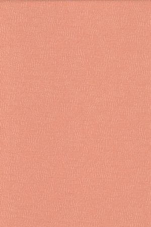 10118